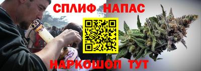 дурь Кингисепп