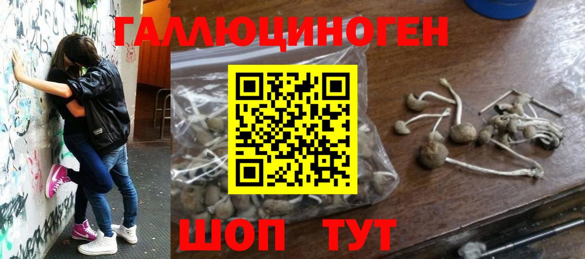 Галлюциногенные грибы ЛСД Кохма
